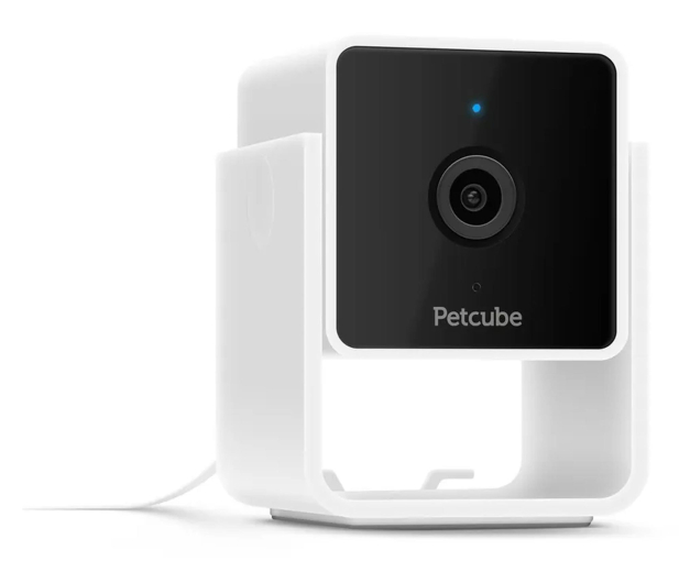 Petcube Inteligentna kamera Cam - 1308534 - zdjęcie